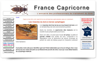 France Capricorne, toutes l'info utile sur les insectes à larves xylophages